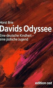 Davids Odyssee. Eine deutsche Kindheit, eine jüdische Jugend